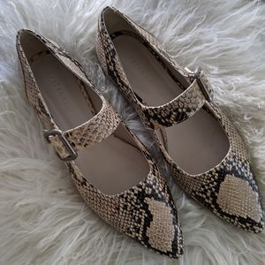 Freda Salvador Joni pointed flat mary jane